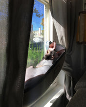 Load image into Gallery viewer, Picture of my cat in the window
